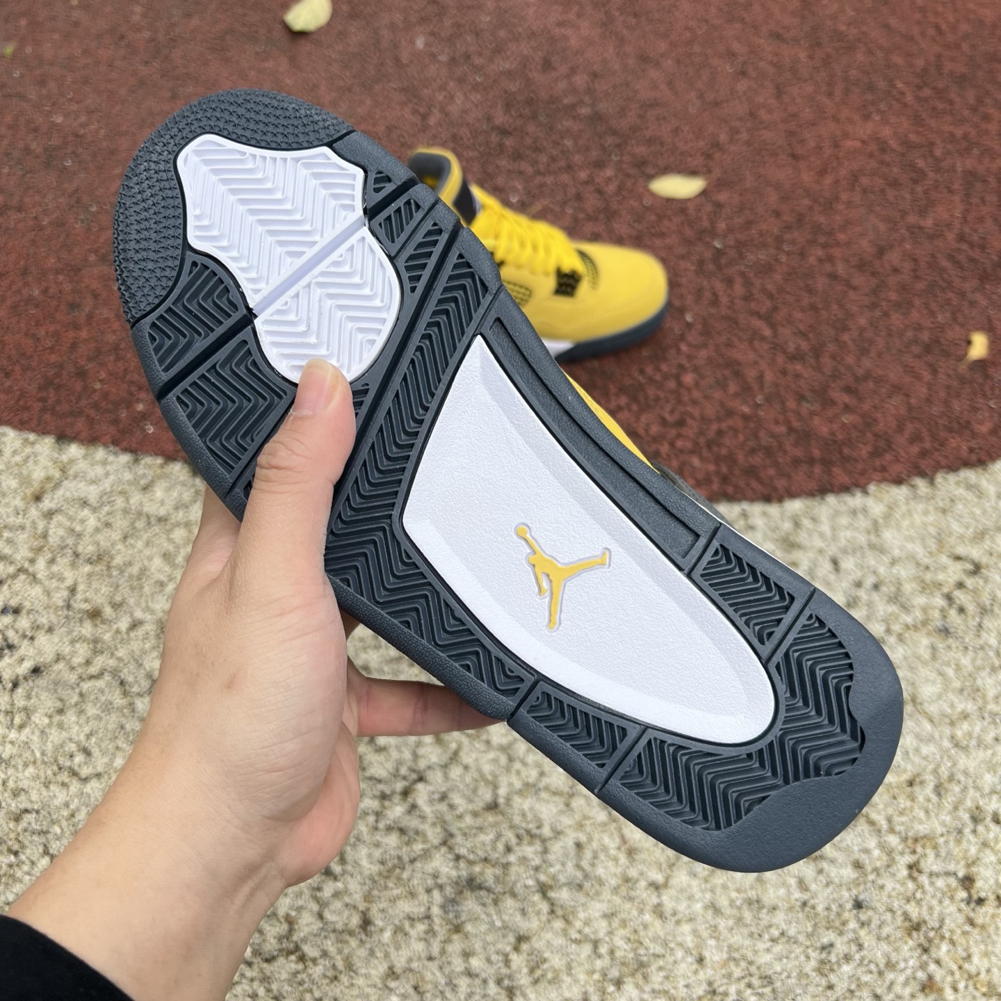 Nike Jordan shoe